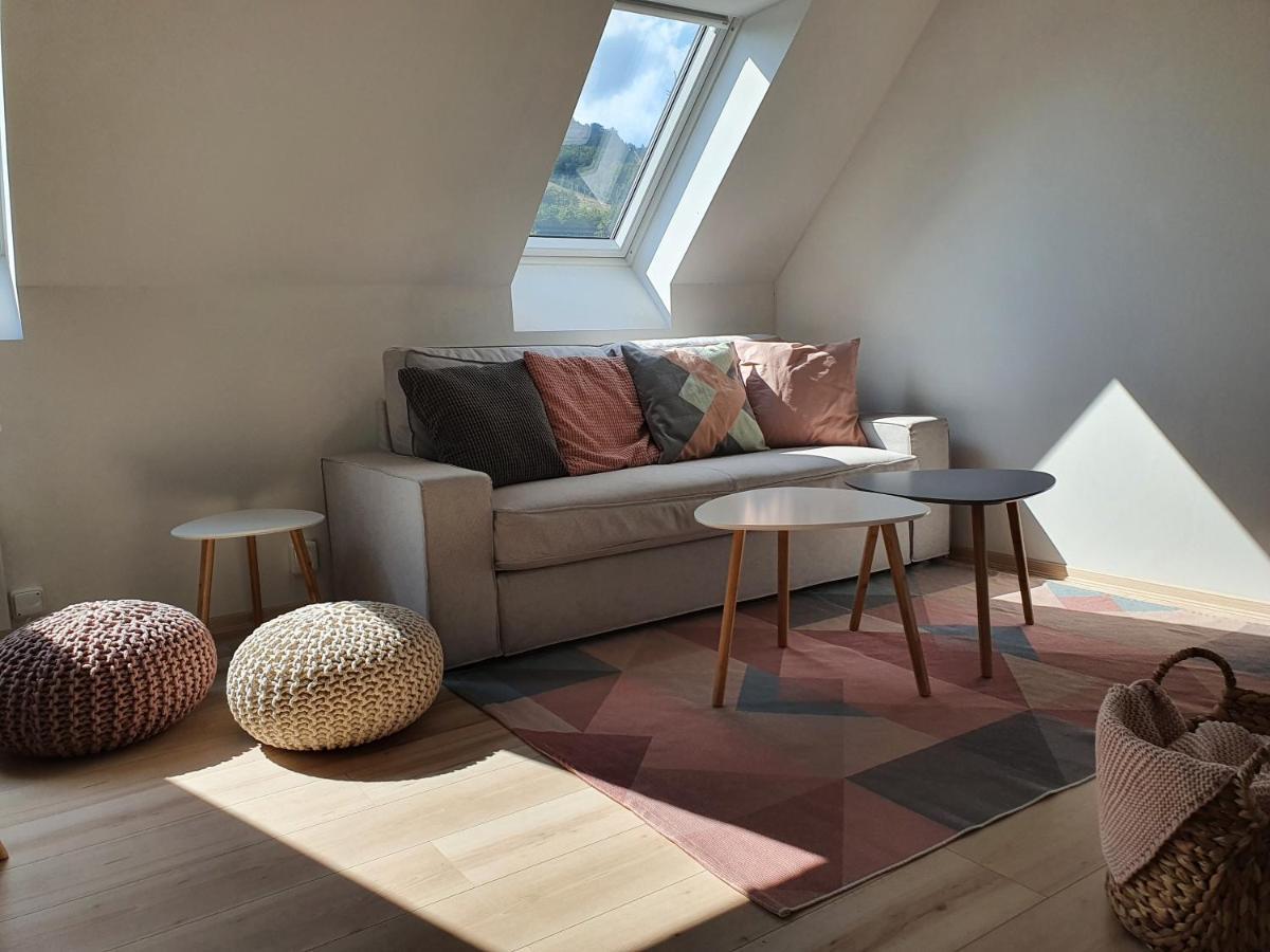 Apartmany Brachovna Mikulov v Krusnych Horach Extérieur photo
